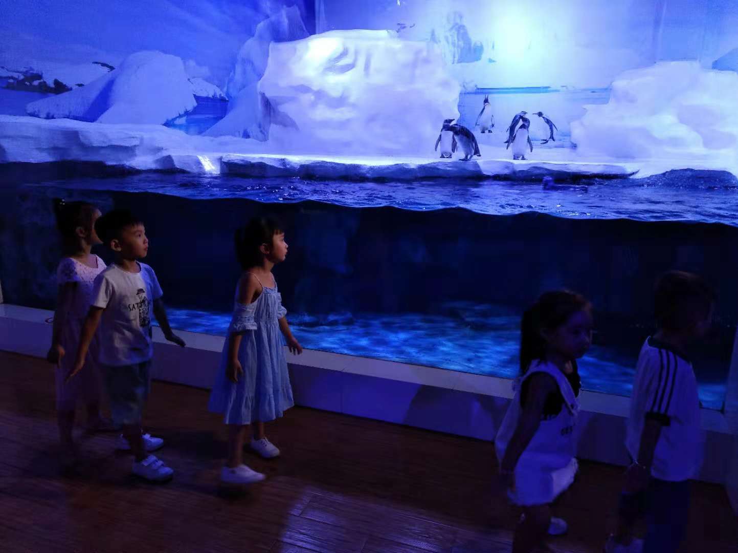 Polar penguins venue(图2)